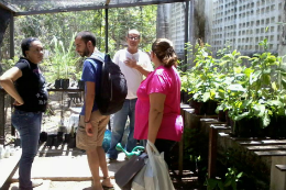 Imagem: A Feirinha das Plantas Medicinais é aberta ao público e acontece todas as sextas-feiras no Campus do Pici (Foto: Divulgação)