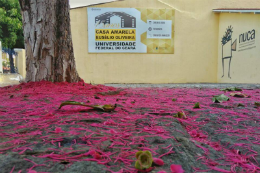 Imagem: O curso da Casa Amarela é considerado um dos melhores de Fortaleza (Foto: Pedro Jorge/Casa Amarela)