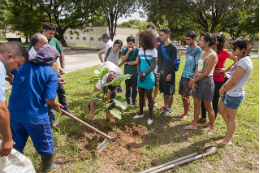 Imagem: Estudantes acompanham plantio de muda no Campus do Pici