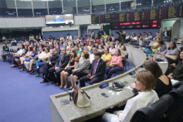 Imagem: Representantes de instituições homenageadas compuseram o plenário da Assembleia Legislativa (Foto: Assembleia Legislativa)