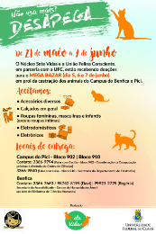 Imagem: Bazar visa cuidar de gatos e cães abandonados nos campi do Pici e do Benfica (Imagem: Divulgação)