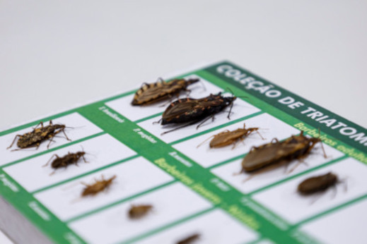 Fotografia mostra coleção de barbeiros (Foto: Guilherme Silva / Secom-UFC)