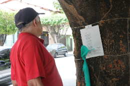 Imagem: Quem passa pelas árvores do Benfica acaba parando para ler os poemas expostos. A mostra atrai pessoas de todas as idades (Foto: Divulgação)