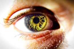 Imagem: O Departamento de Física promove a palestra "O olho: a câmera digital humana" (Imagem: Reprodução da Internet)