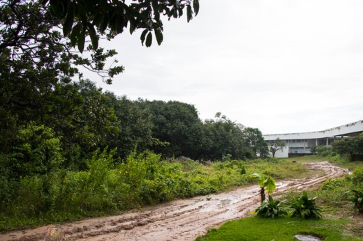 Imagem: Foto de uma estrada de terra na Matinha do Pici, com o prédio do Instituto de Cultura e Arte da UFC ao fundo