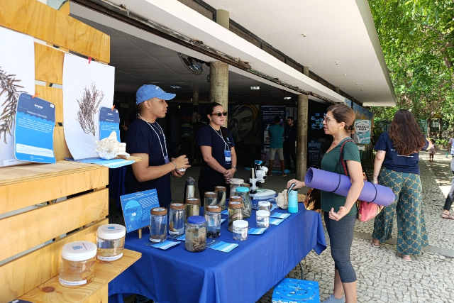 A mostra é gratuita e ficará disponível para visitação neste domingo (8) das 9h30 às 16h30 na Bece (Foto: divulgação) Imagem: foto de uma exposição ocorrendo em um parque