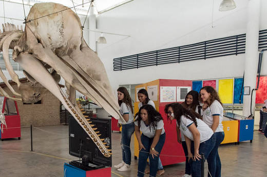 Imagem: estudantes de ensino médio observam esqueleto de dinossauro no salão da Seara da Ciência