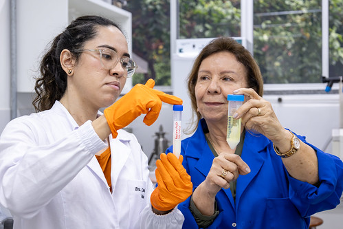 Imagem: As pesquisadoras responsáveis pelo invento, Camila Peixoto (esq.) e Profª Nágila Ricardo, do Departamento de Química Orgânica e Inorgânica, mostram o óleo de tilápia puro e a sua nanoformulação (Foto: Guilherme Silva/UFC)