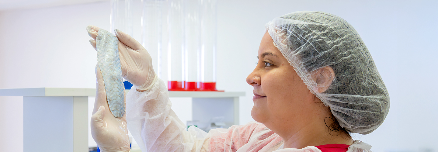 Pesquisadora de perfil usando touca segura pele de tilápia em laboratório